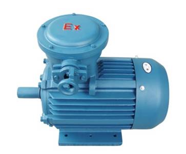 YBX3-1.jpg YBX3-1.jpg